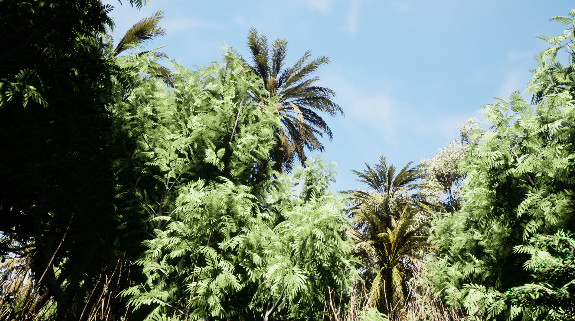 Trees Screenshot